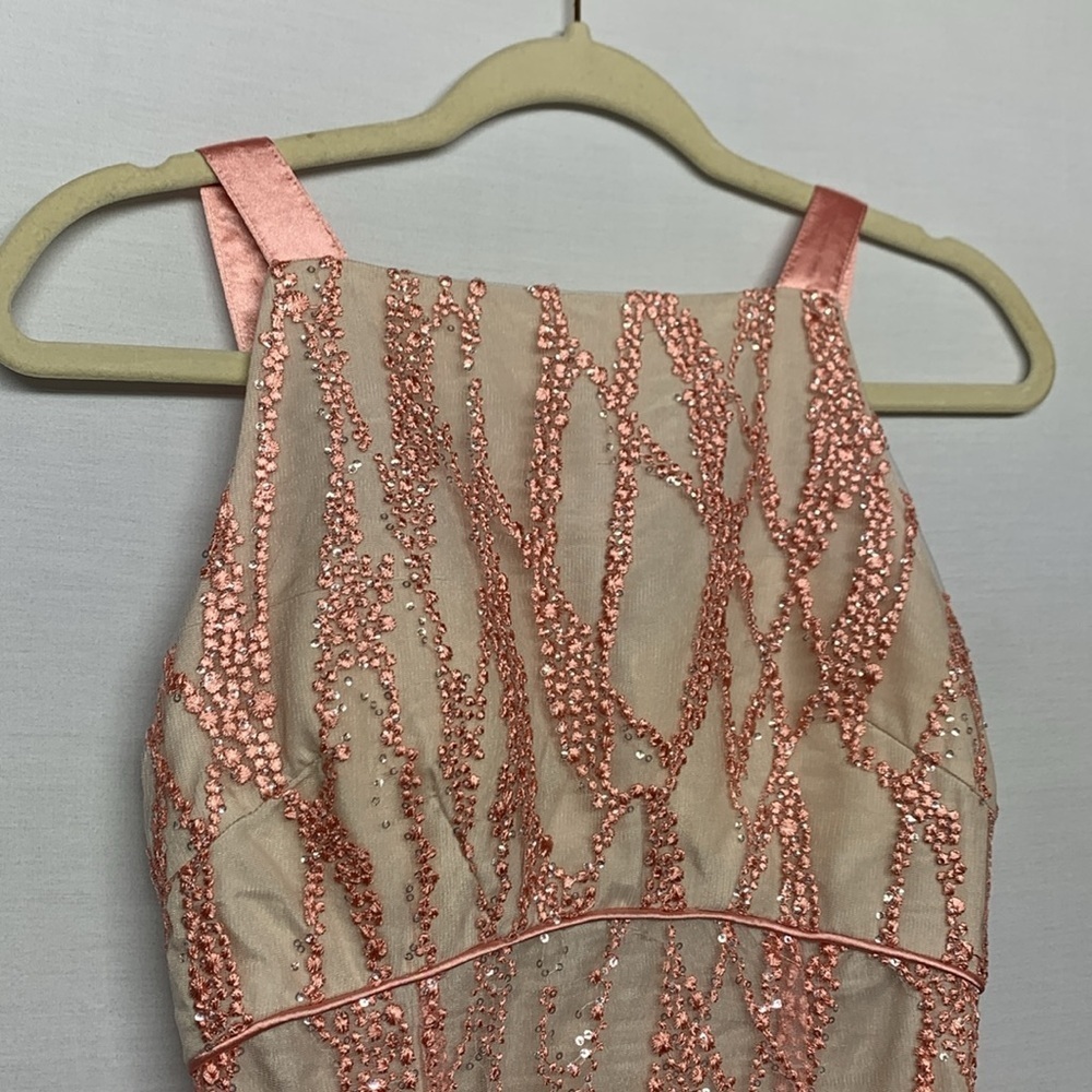 Minuet Pink Embroidered Silver Sequin Formal Dress - Picture 5 of 12